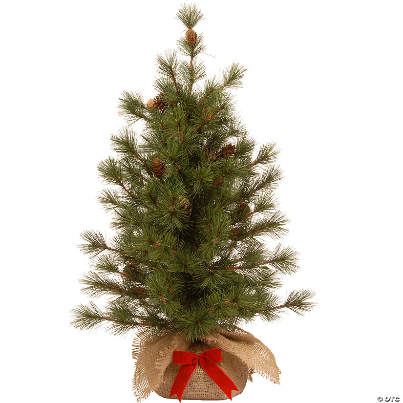 National Tree Company 3 ft. Bristle Cone Pine Tree