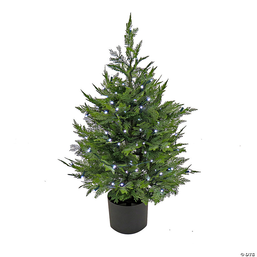 National Tree Company 3 ft. Cypress Topiary in Black Plastic Nursery Pot with 100 RGB LED Lights-UL- A/C Image