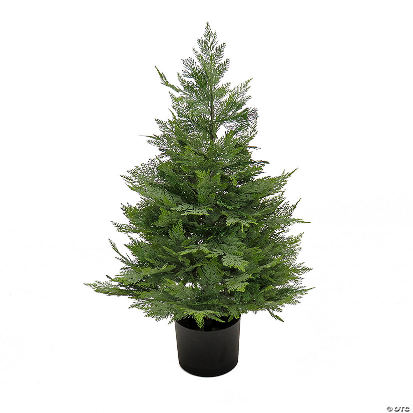 National Tree Company 3 ft. Cypress Topiary in Black Plastic Nursery Pot Image