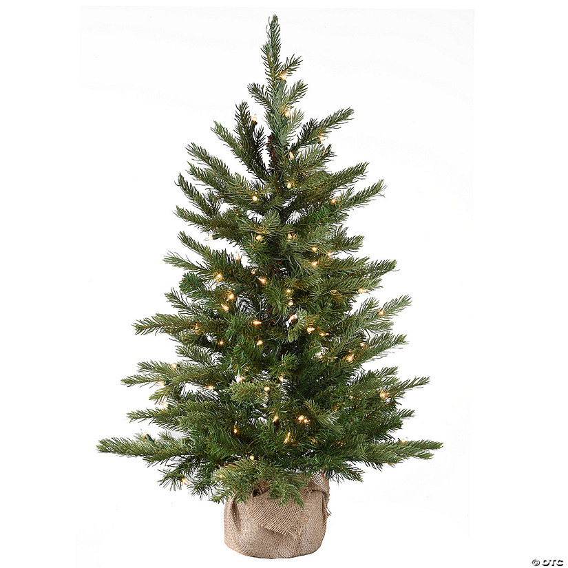 National Tree Company 3 ft. Nordic Spruce&#174; Tree with Clear Lights Image