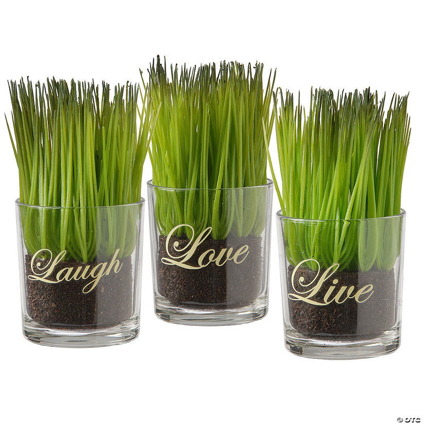 National Tree Company 3-Piece Sprout-Filled Glass Assortment Image