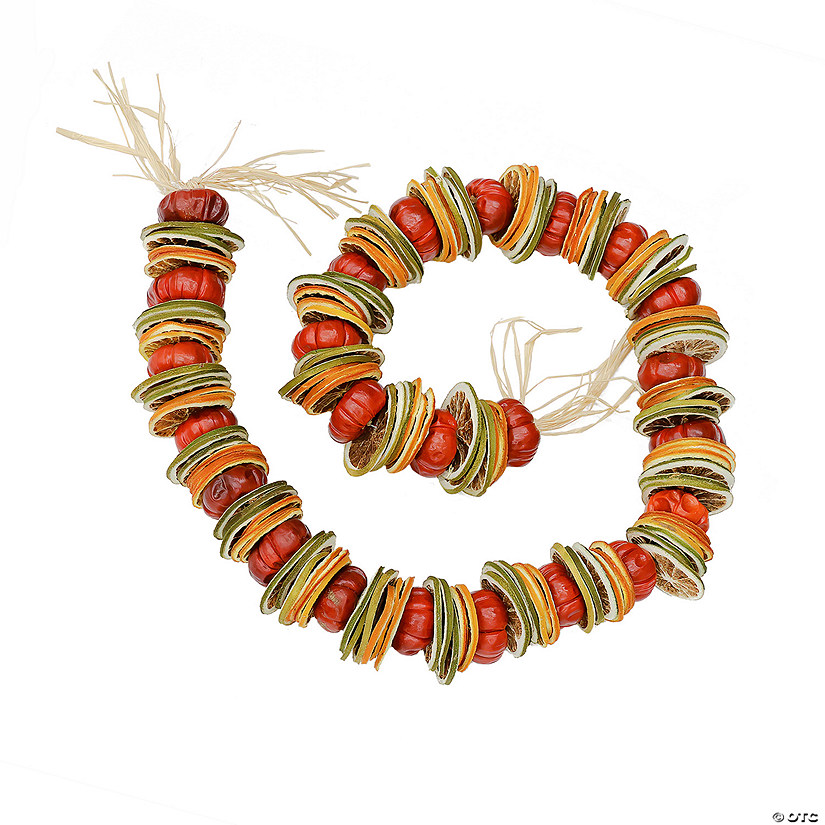 National Tree Company 4' Dried Citrus and Tomato Garland Image