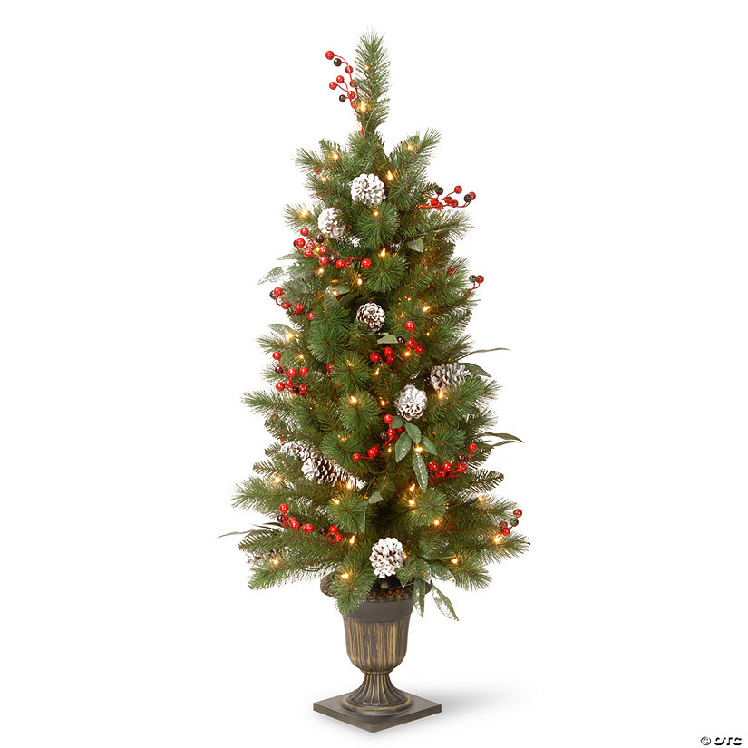 National Tree Company 4 ft. Frosted Pine Berry Entrance Tree with Clear Lights Image