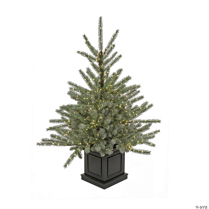 National Tree Company 4 ft. Pre-Lit Christmas Blue Evergreen Entrance Tree Image