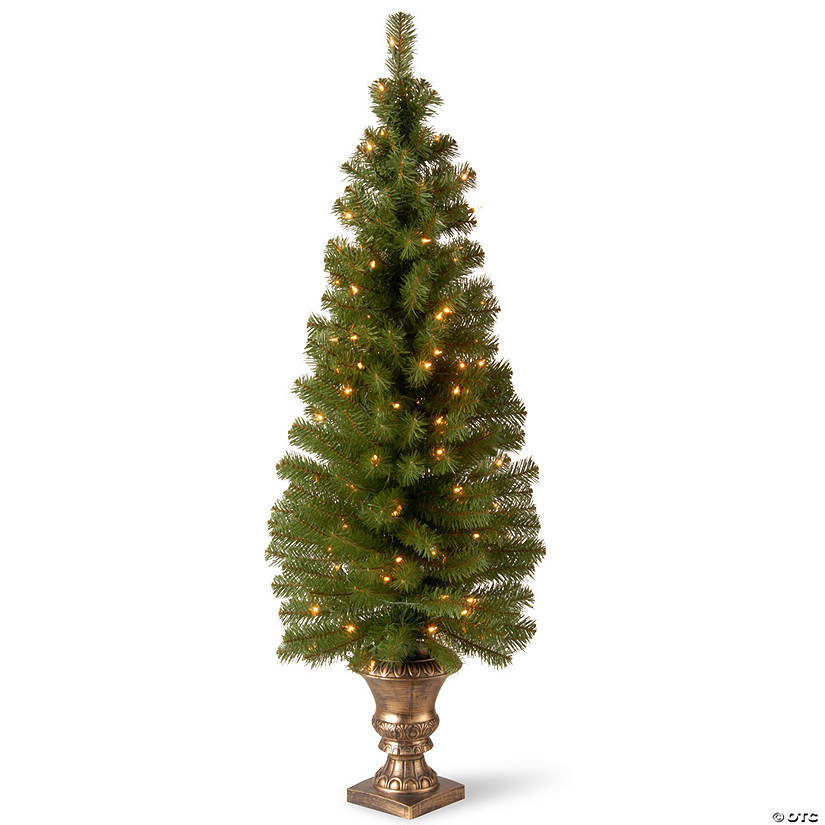 National Tree Company 5 ft. Montclair Spruce Entrance Tree with Clear