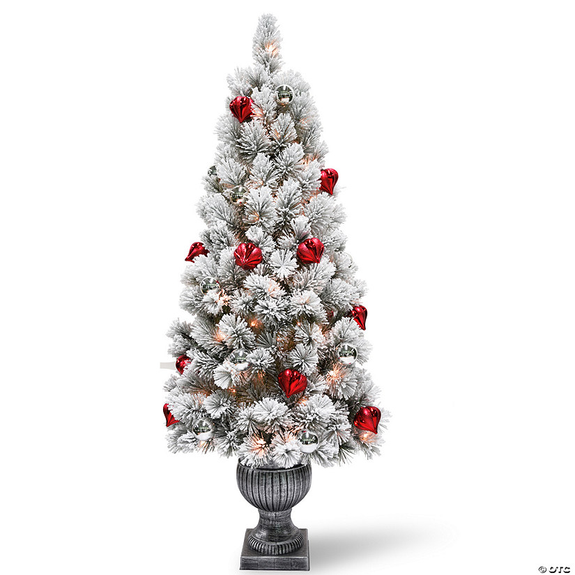 National Tree Company 5 ft. Snowy Bristle Pine Entrance Tree with Clear Lights Image