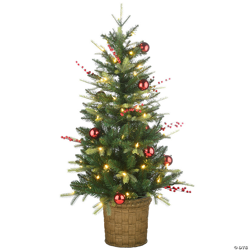 National Tree Company First Traditions&#8482; 4 ft. Scotch Creek Fir Entrance Tree with LED Lights Image