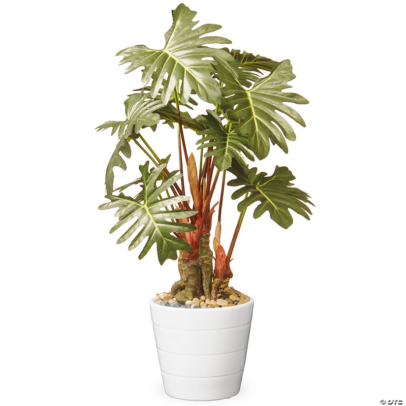 National Tree Company Garden Accents 21" Philodendron Plant in Ceramic Pot-Green Image
