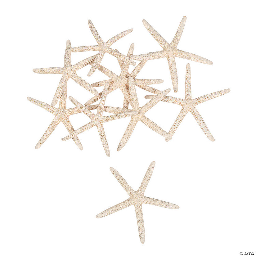 Natural Bleached Finger Starfish - 12 Pc. Image