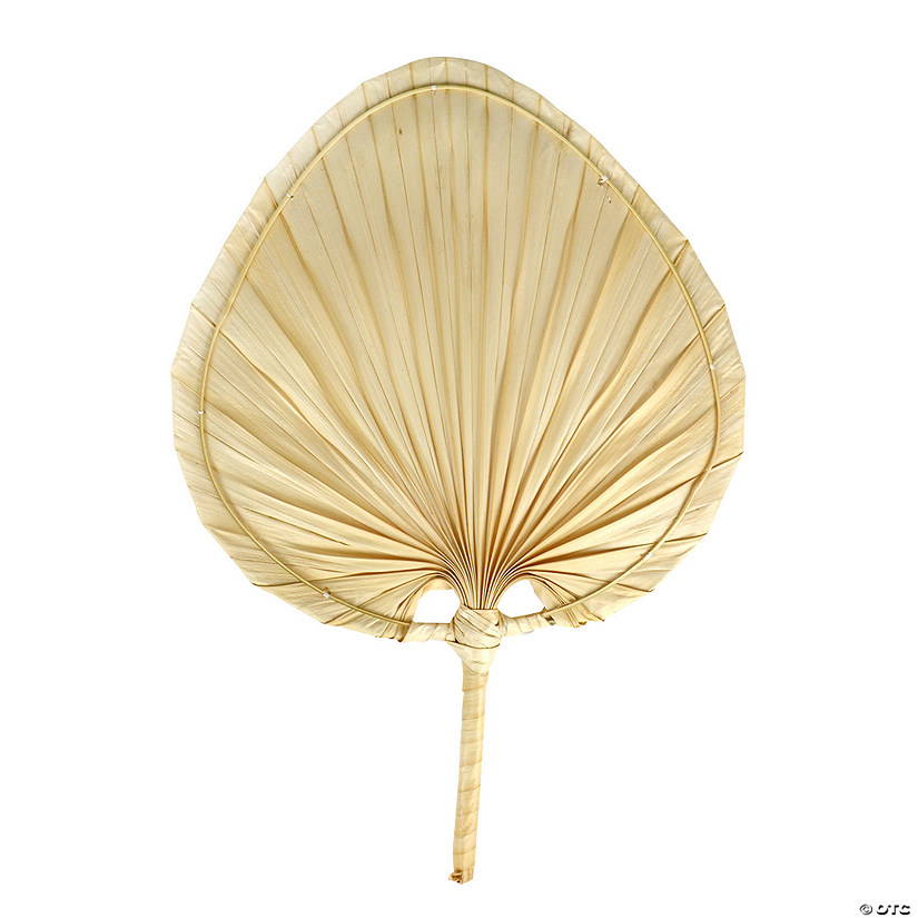 Natural Palm Leaf Fan Image