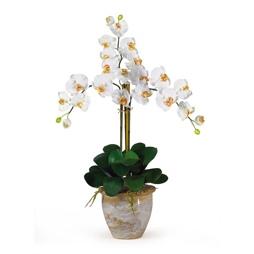 Nearly Natural Triple Stem Phalaenopsis Silk Orchid Arrangement Cream Oriental Trading