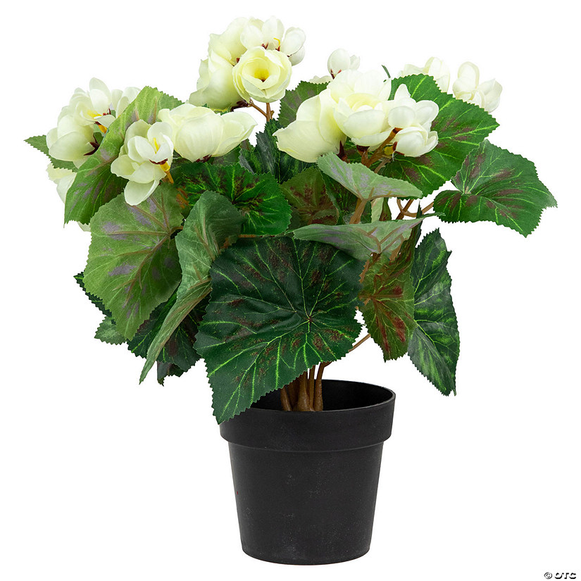 Northlight 11" cream potted silk begonia spring artificial floral arrangement Image