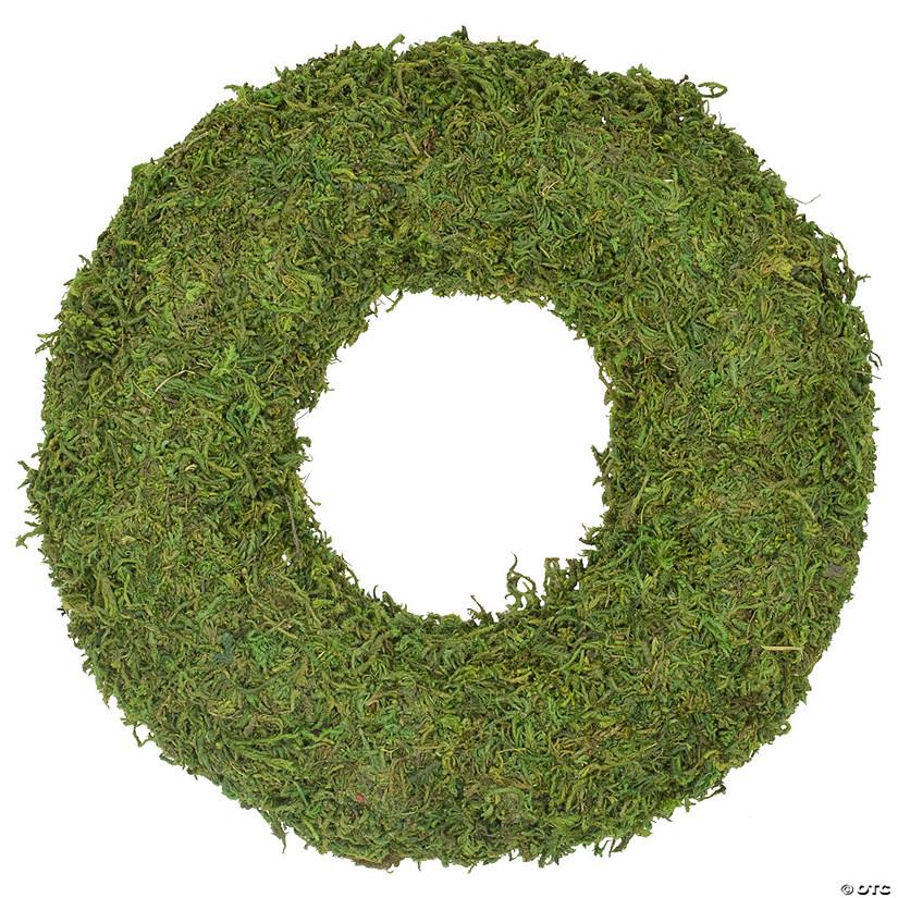 Northlight 13.7" reindeer moss artificial floral spring wreath - unlit Image
