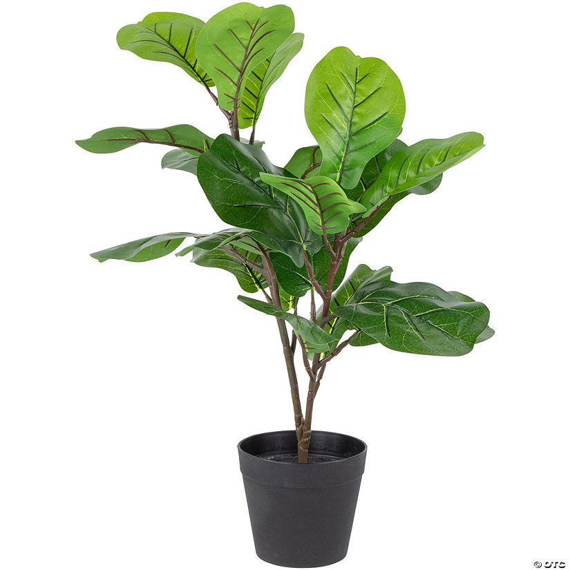 Northlight 26" Dark Green Artificial Potted Fiddle-Leaf Fig Plant Image