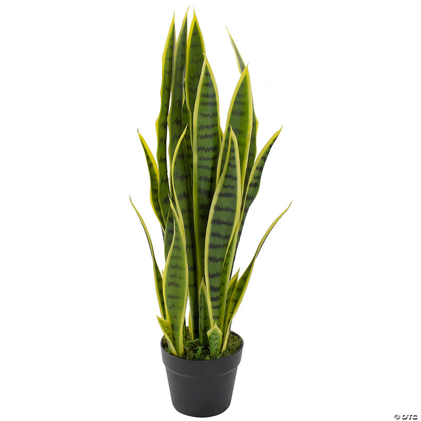 Northlight 29" Artificial Potted Green Striped Leaf Dracaena Snake Plant Image