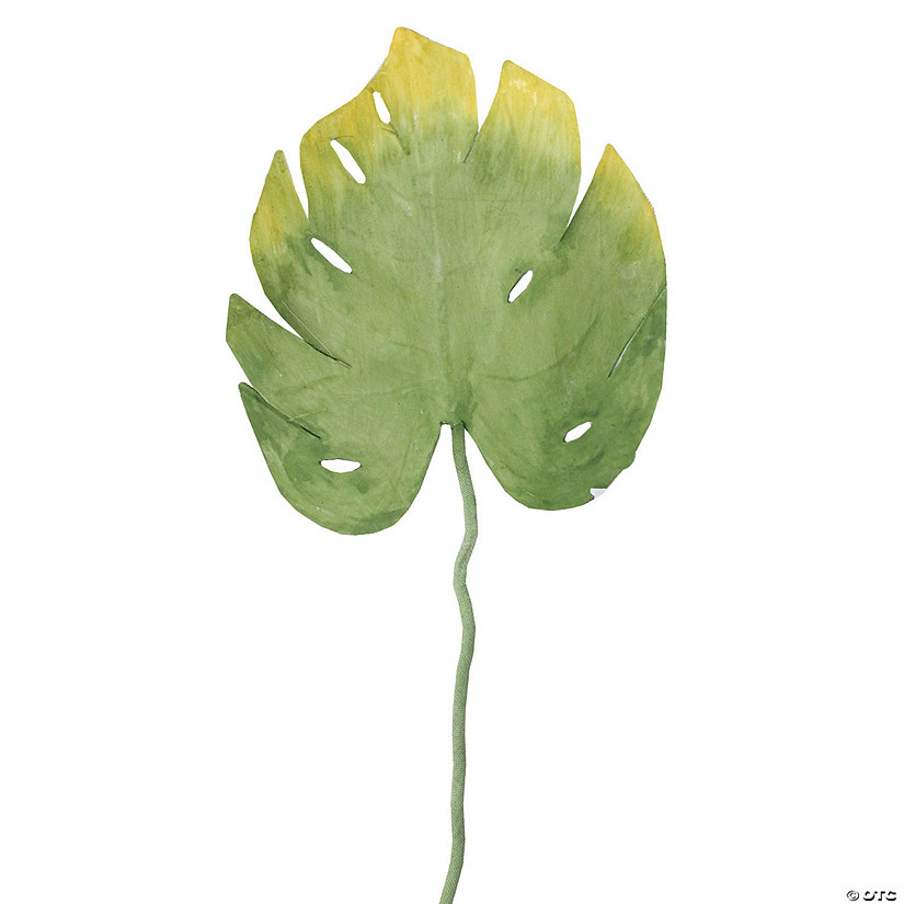 Northlight 31.5" Green Two-Tone Artificial Split-Leaf Tropical Philodendron Spray Image