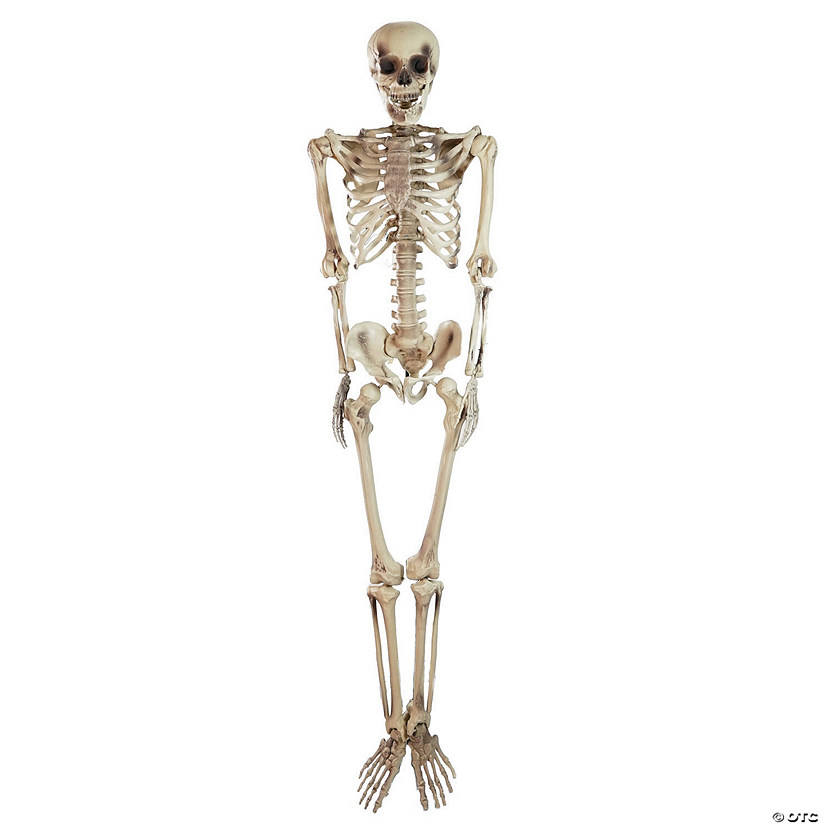 Northlight 5' Life Size Skeleton Halloween Decoration Image