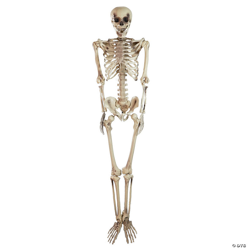 Northlight 5' Life Size Skeleton Halloween Decoration Oriental Trading