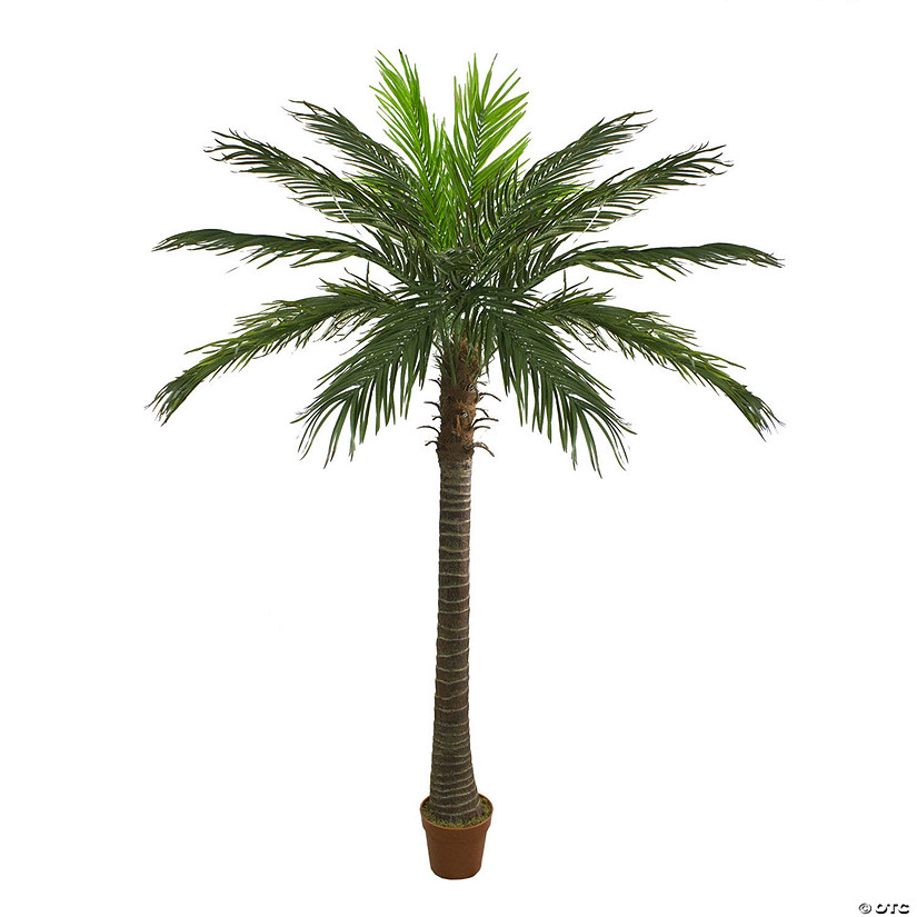 Northlight 70" Green and Brown Potted Artificial PhoeniProper Palm Tree Image