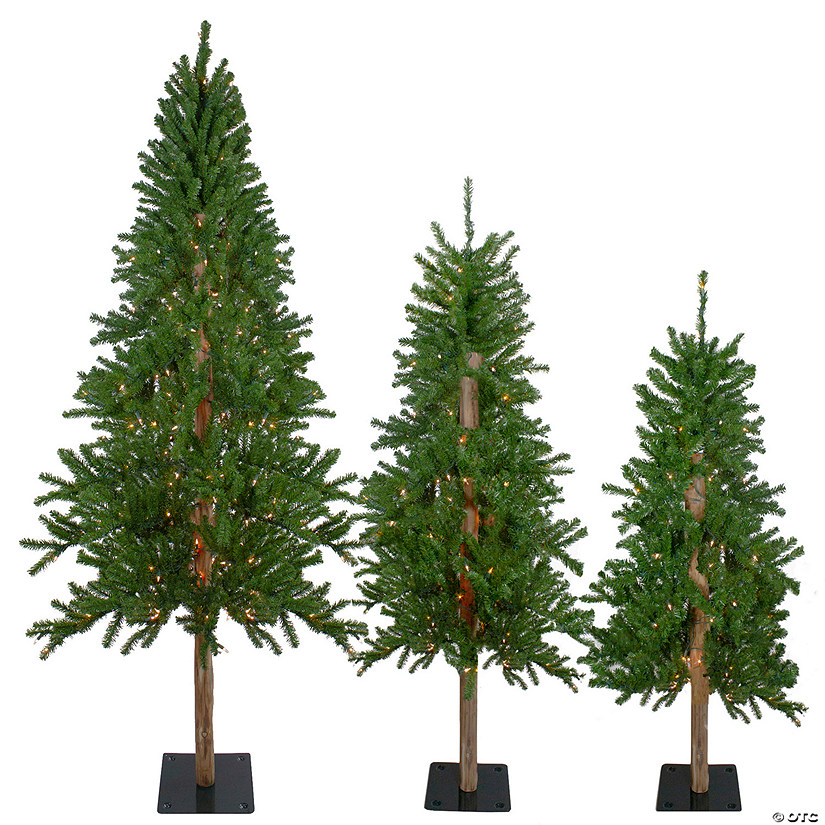 Northlight Set of 3 Pre-Lit Slim Alpine Artificial Christmas Trees 6' - Clear Lights Image