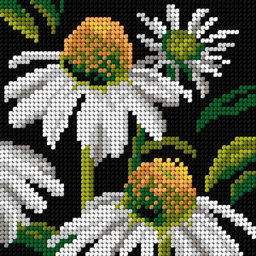 Orchidea Needlepoint Canvas for halfstitch Without Yarn Echinacea