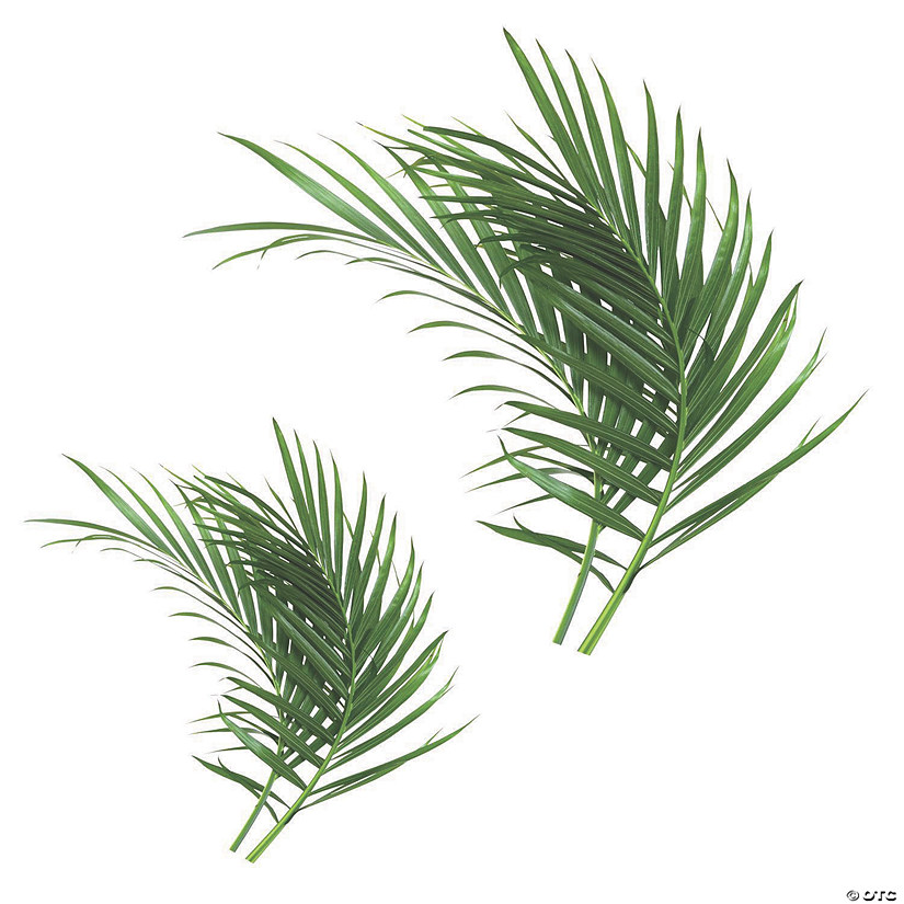 Palm Leaf Peel & Stick Giant Wall Decals Oriental Trading