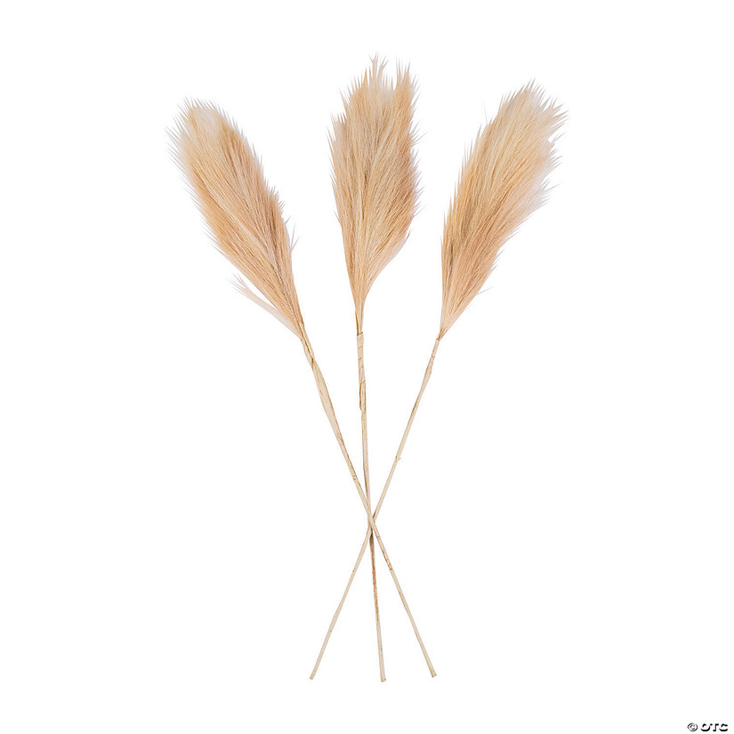 Pampas Grass - 3 Pc. Image