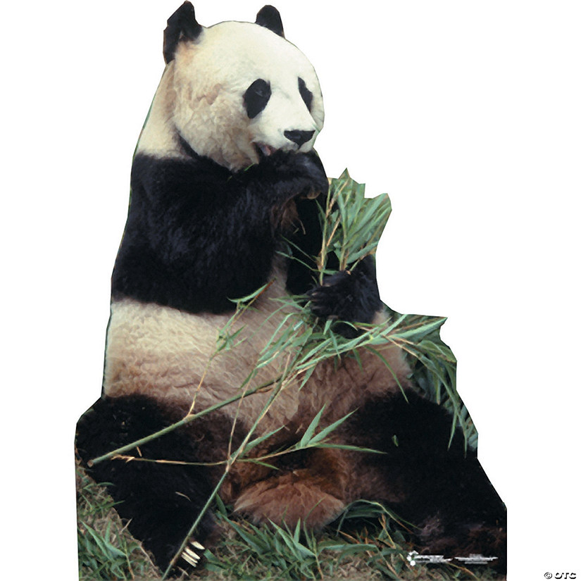 Panda Bear Cardboard Stand-Up Image