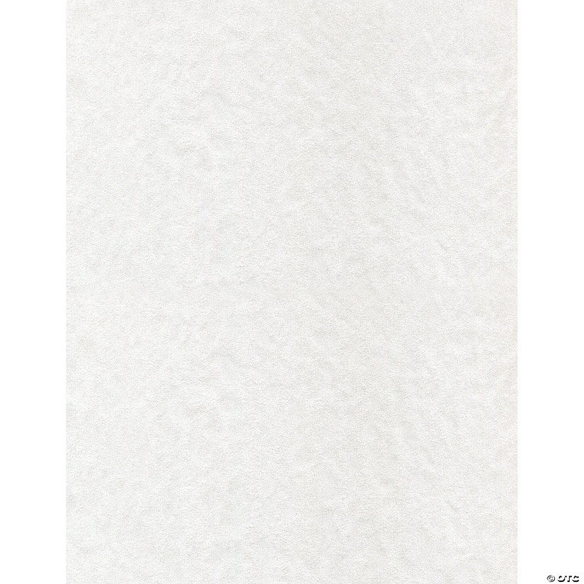 Paper Accents Cardstock 8.5x11 Glassine 30lb White, 1000pc Box Image
