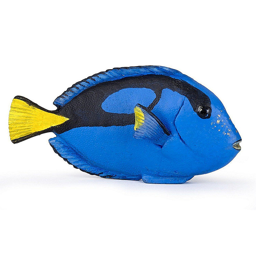 Papo Surgeonfish Image