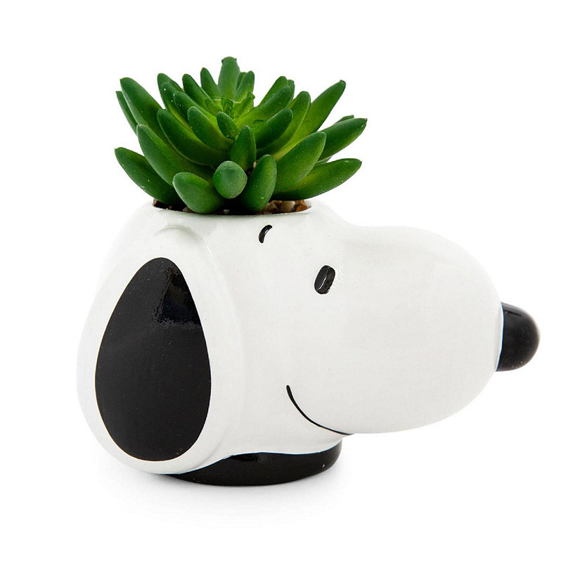 Peanuts Snoopy Face Ceramic Mini Planter with Artificial Succulent  3.5"L x 5" H x 5" W Image