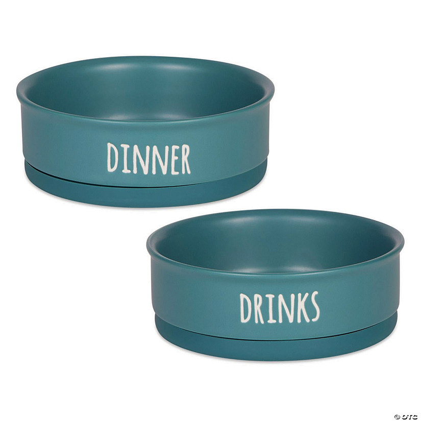 Pet Bowl Dinner And Drinks Teal Medium (Set Of 2) Image