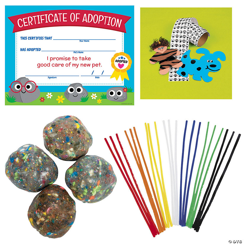 Pet Rock Create & Adopt Kit for 12 Oriental Trading