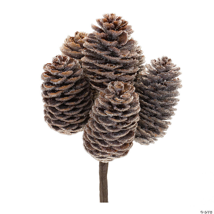 Pine Cone Bundle (Set Of 12) 9"H Cone Image