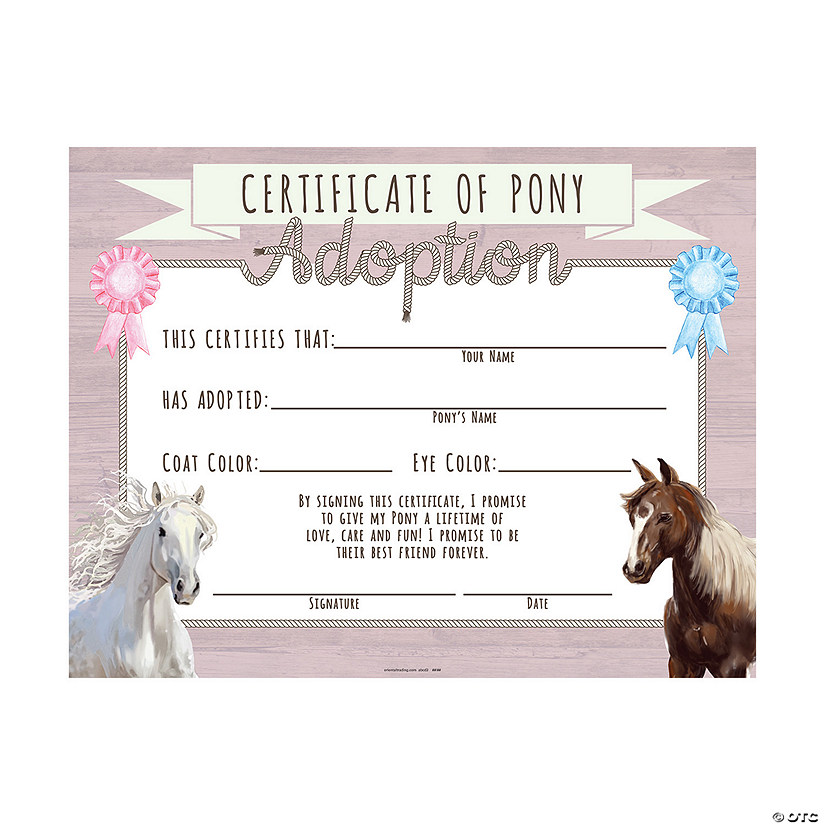 Pony Adoption Certificates - 12 Pc. Image