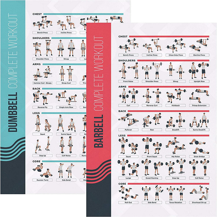 PosterMate (20 x 30 Inch) FitMate Dumbbell and Barbell Bundle Workout ...
