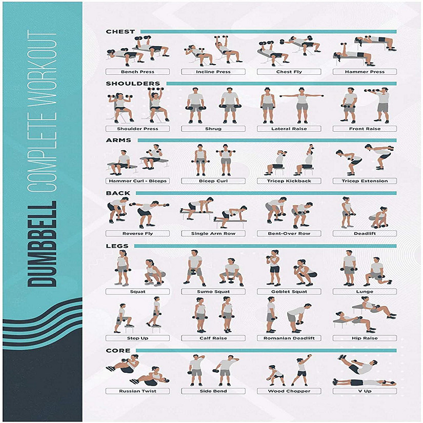 Postermate Fitmate Dumbbell Workout