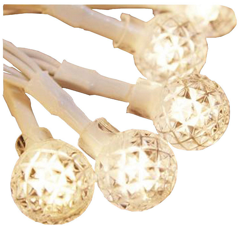 ProductWorks 18183 Light String, 6.5 x 10 feet, Warm White Berry Image