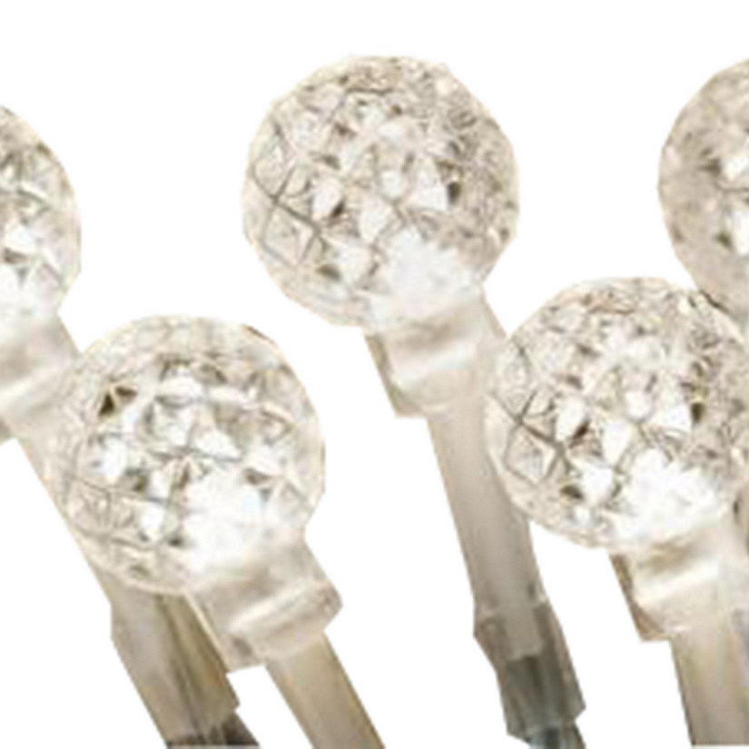 ProductWorks 18187 Light String, 2m x 3m, Warm White Berry, 300 Lights, 8 Function Image