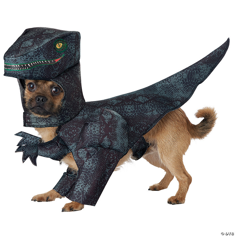 Pupasaurus Rex Dog Costume Image