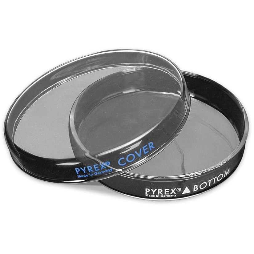 Pyrex , Petri Culture Dish, 100 x 10 mm Oriental Trading