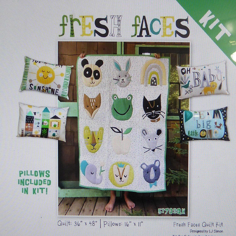 Quilt Kit~Fresh Faces Quilt & 4 Pillows Pattern/ Fabric~Top/Binding Image
