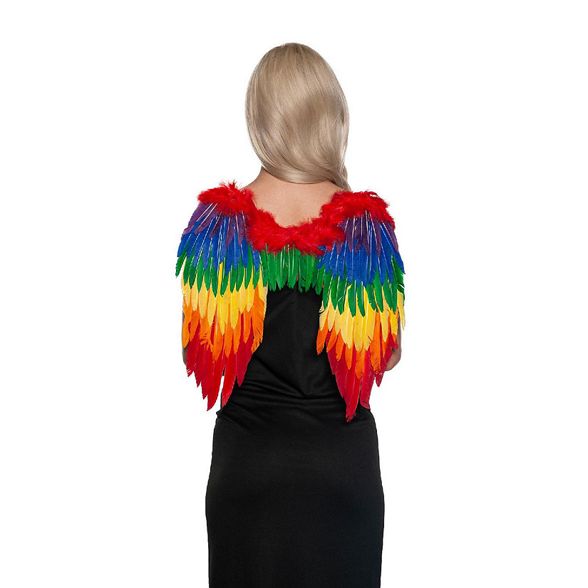 Rainbow Feathered Wings Adult Costume Accessory Image