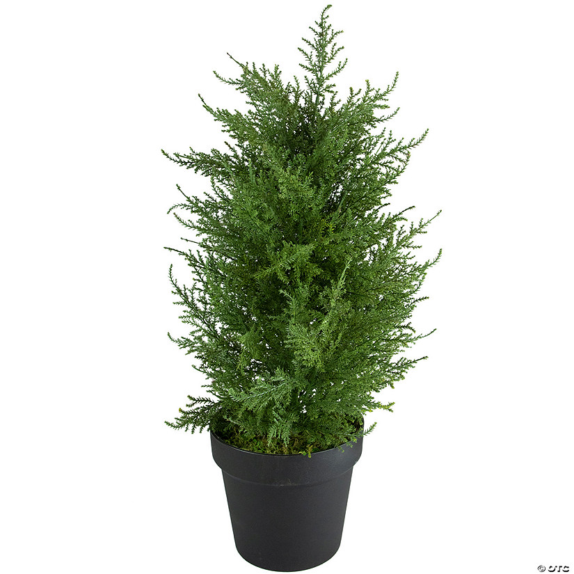 Real Touch Artificial Cedar Pine Petite Arborvitae Tree in Round Pot  Unlit - 2' Image