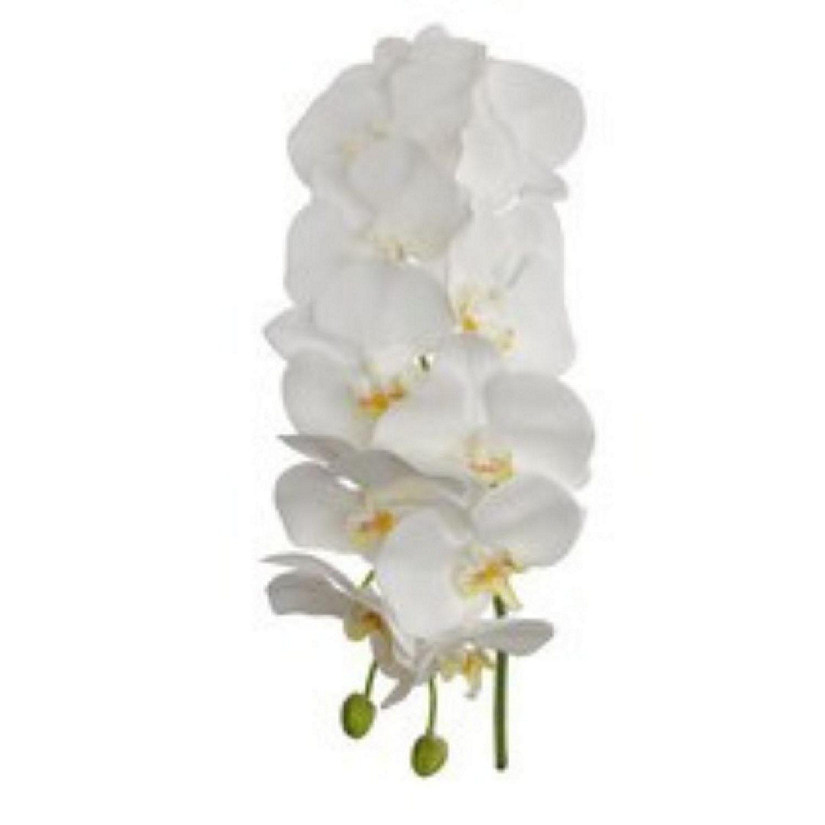 Real Touch White Phalaenopsis Orchid Image