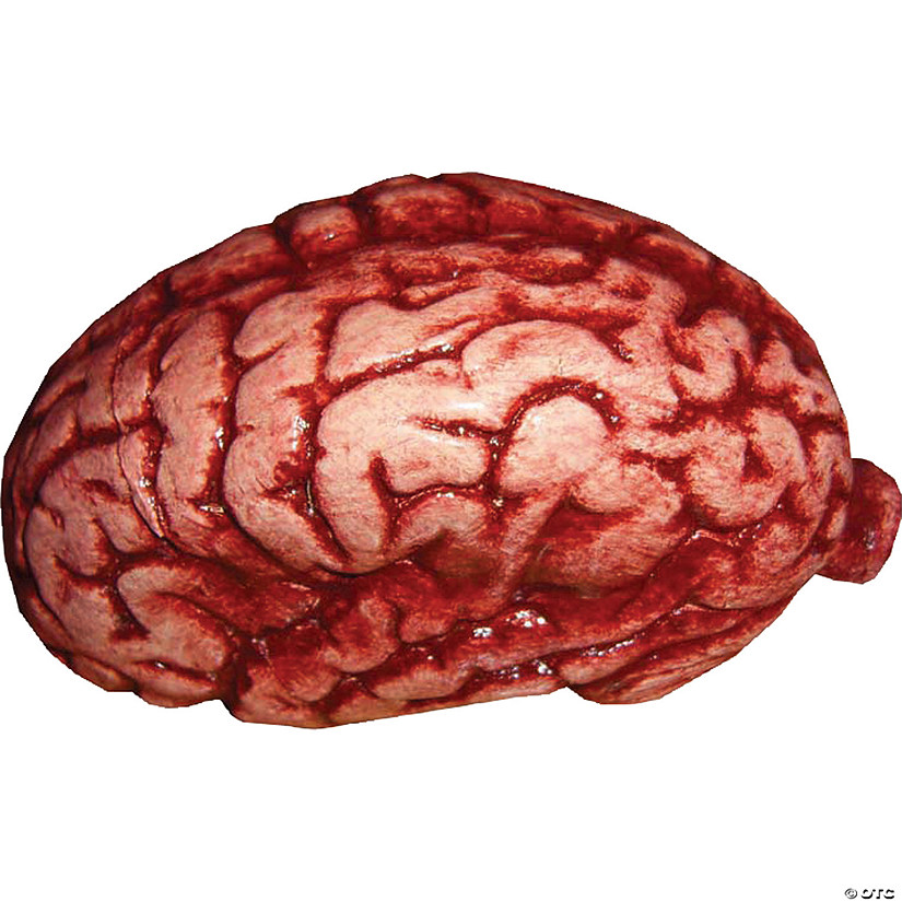 Realistic Brain Prop Halloween Decoration Image