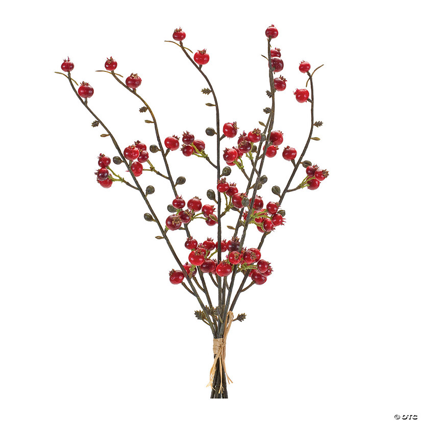 Red Winter Berry Bundle (Set Of 6) 14"H Plastic Image