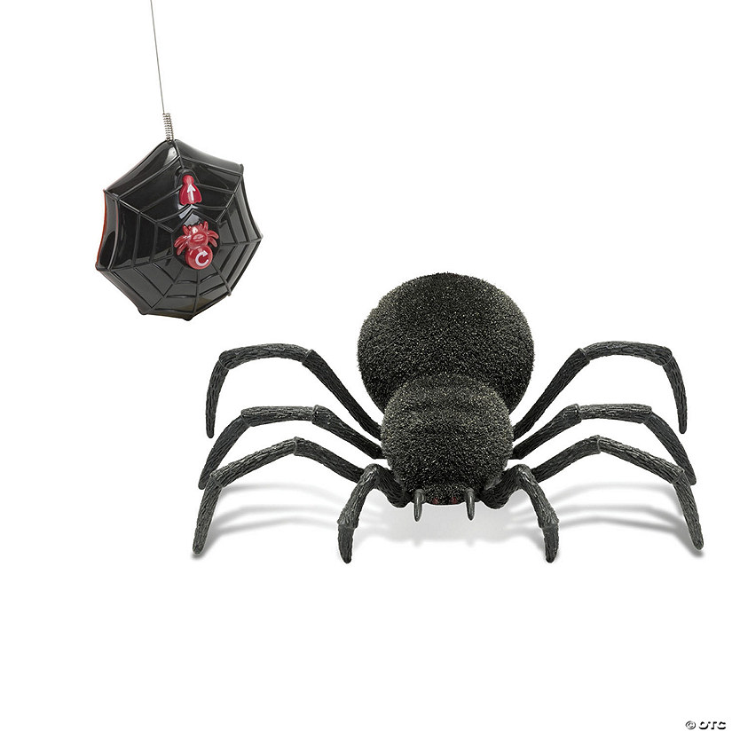 Remote Control Spider Image