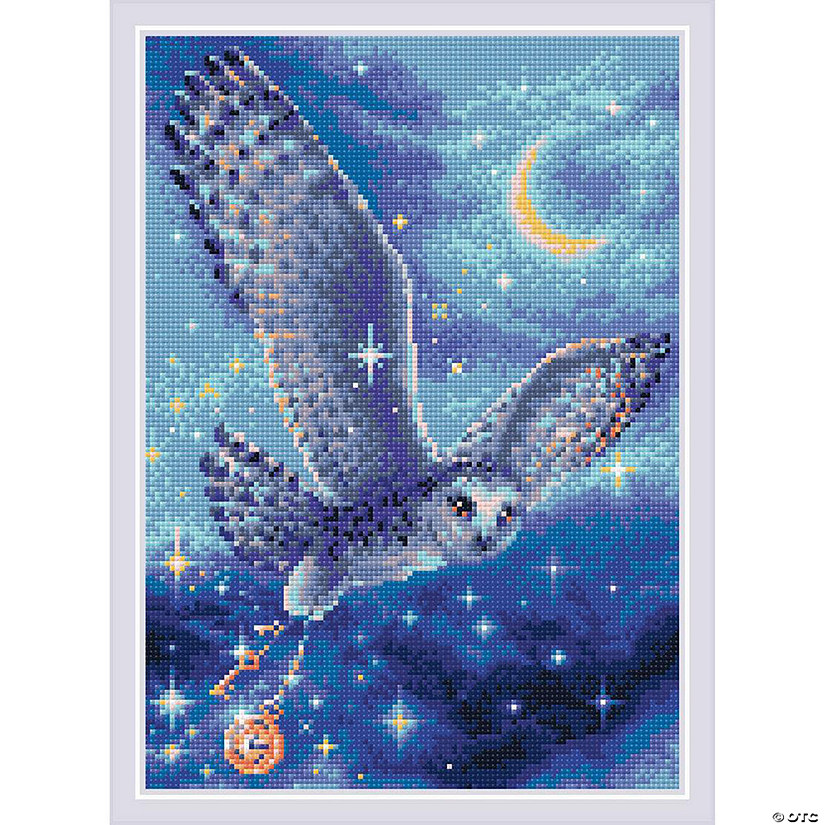 Riolis Diamond Mosaic Kit 10.75x15 Magic Owl Image