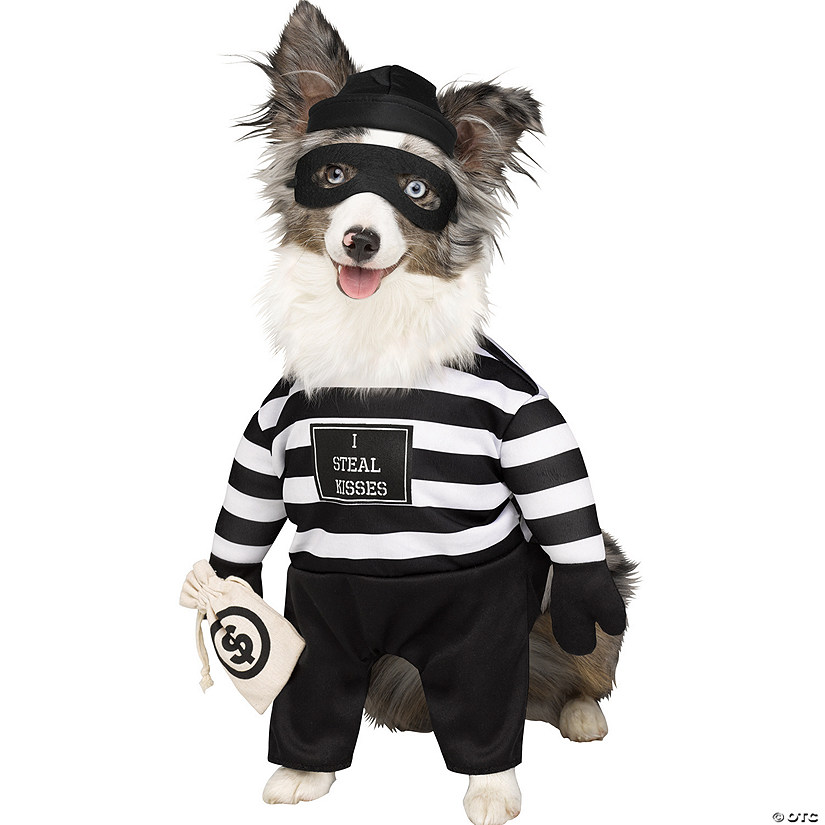 Robber Pup Dog Costume Image